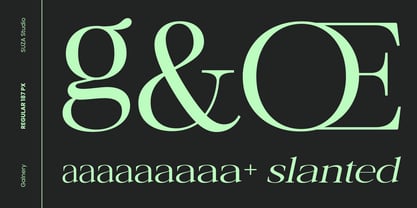 Galnery Font Poster 8