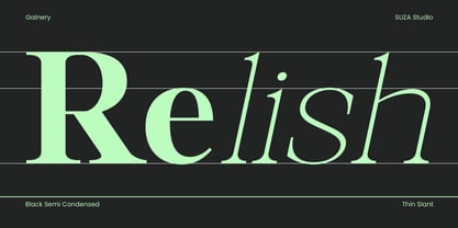 Galnery Font Poster 11