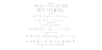 Amistarline Signature Font Poster 11