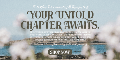 Untold Chapter Font Poster 13