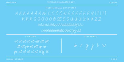 Tepinar Font Poster 10