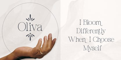 Bavelina Font Poster 6