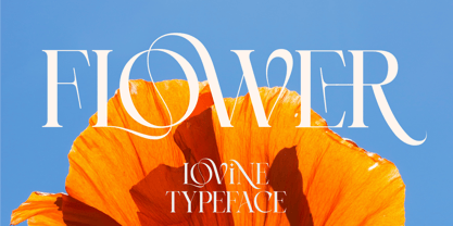 Lovine Font Poster 6