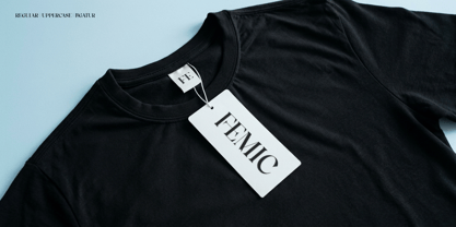 Femic Font Poster 5