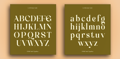 Femic Font Poster 7