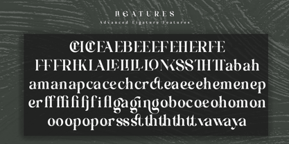 Femic Font Poster 9