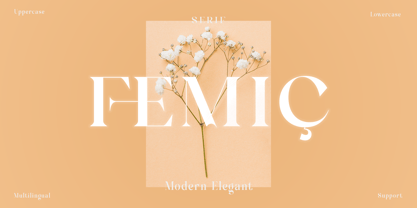 Femic Font Poster 1