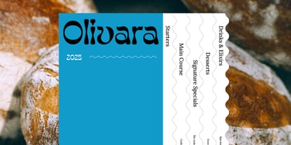 Canefo Font Poster 4