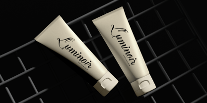 Delsya Script Font Poster 9