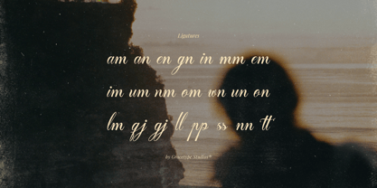 Delsya Script Font Poster 12
