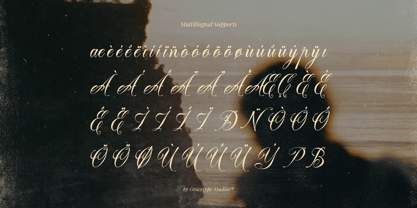 Delsya Script Font Poster 11
