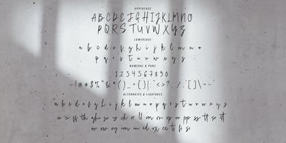 Rilletone Brush Font Poster 11