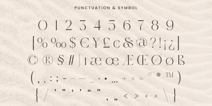 Ronslgal Font Poster 4