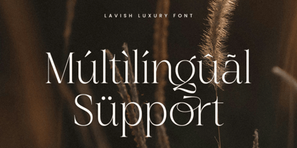 Ronslgal Font Poster 11