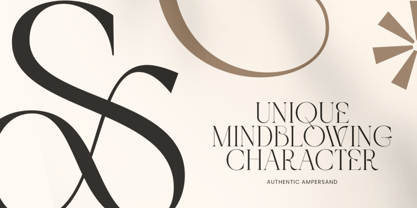 Ronslgal Font Poster 8