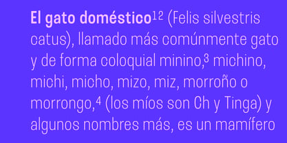 Ana Diego Rounded Font Poster 3