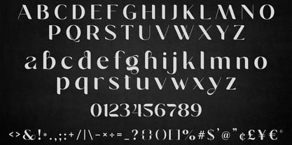 Avena Font Poster 12