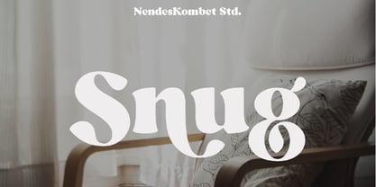 Snug Font Poster 1