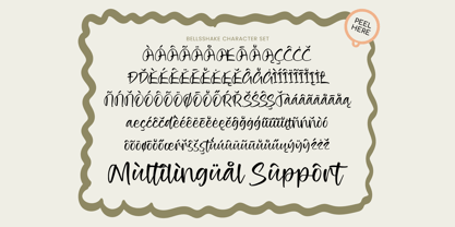 Bellsshake Font Poster 9