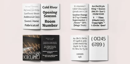 ED Colusa Font Poster 4