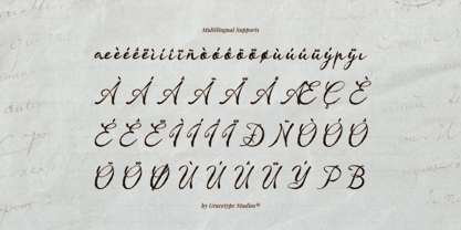 Almenty Carmine Font Poster 11