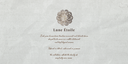 Almenty Carmine Font Poster 6
