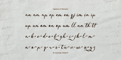 Almenty Carmine Font Poster 12