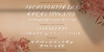 Risatry Font Poster 6