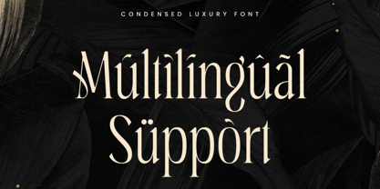 Arqine Font Poster 9