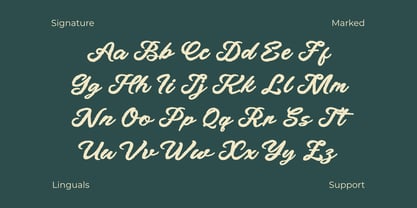 Fedley Font Poster 3