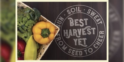 Harvest Time Font Poster 6