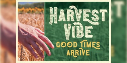 Harvest Time Font Poster 2