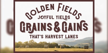 Harvest Time Font Poster 4