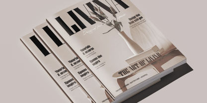 Mistkin Font Poster 6