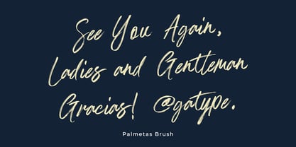 Palmetas Font Poster 10