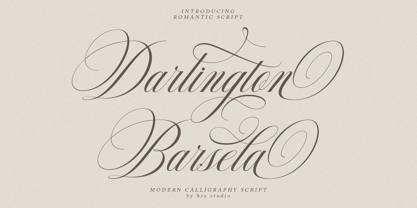 Delighton Script Font Poster 11