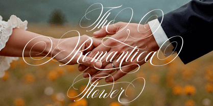 Delighton Script Font Poster 2