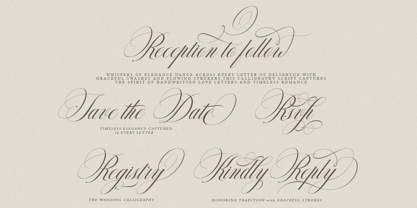 Delighton Script Font Poster 5