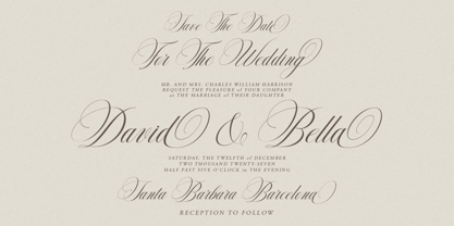 Delighton Script Font Poster 4
