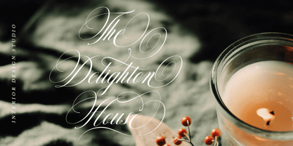 Delighton Script Font Poster 10