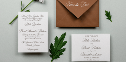 Delighton Script Font Poster 12