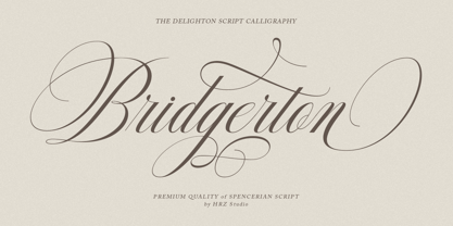 Delighton Script Font Poster 8