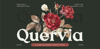 Quervia Font Poster 1