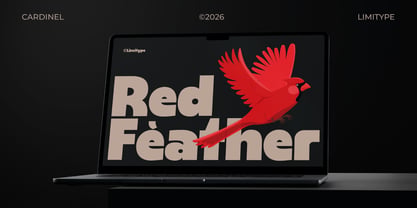Cardinel Display Font Poster 7