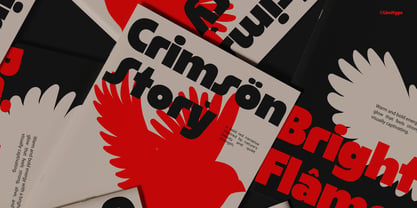 Cardinel Display Font Poster 2