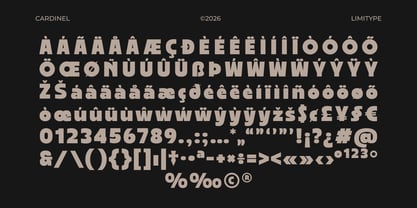 Cardinel Display Font Poster 12