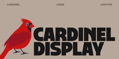 Cardinel Display Font Poster 1