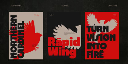 Cardinel Display Font Poster 3