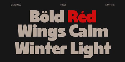 Cardinel Display Font Poster 4