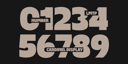 Cardinel Display Font Poster 11